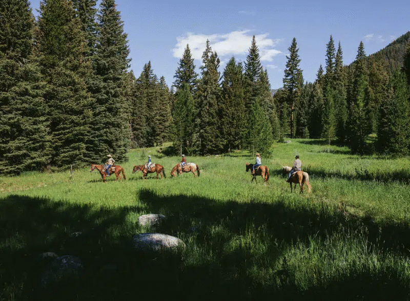 Lone Mountain Ranch – Big Sky, MT